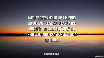 mary_ann_brussat_quote_nature_often_holds_up_a_mirror_so_we_can_see_more_clearly_the_ongoing_processes_of_growth__renewal__5306