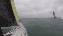 dongfeng team.gif