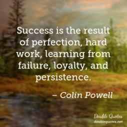 success-is-the-result-of-perfection-hard-work-learning-from-failure-loyalty-403x403-nk91id