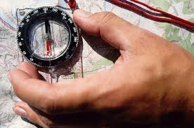 lost in the wilderness.jpg