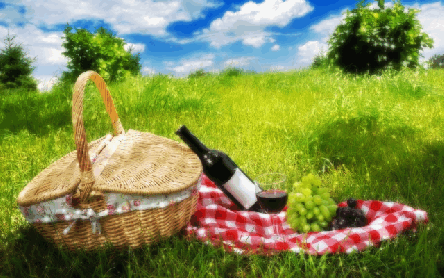 picnic gif.gif