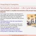 Eliescalante Leg 5 The Industry Evolution Life Cycle a&nbsp;4