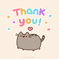 thank you cat&nbsp;gif