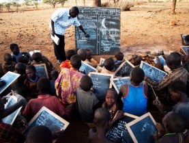 education to extremes