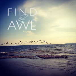 find_the_awe1