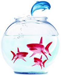 blue ocean strategy fish