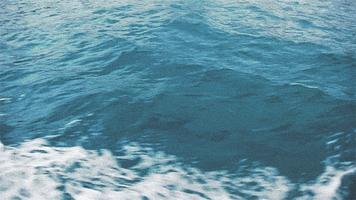 ocean-animated-gif-2.gif