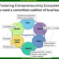 domains of the entrepreneurship ecosystem&nbsp;fostering