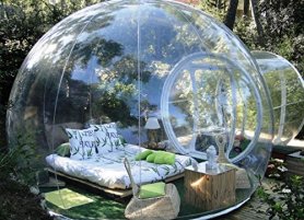 living in a bubble.jpg