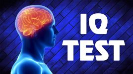 IQ Test