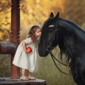 girl and a&nbsp;horse