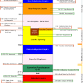 Mesopotamian_Chronology_2-2011-29-03