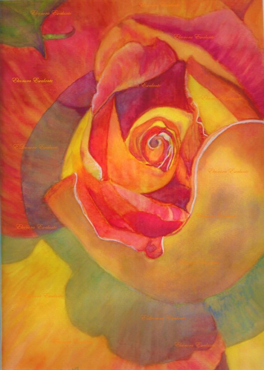 Red-yellow rose editedxblog Eleonora Escalante