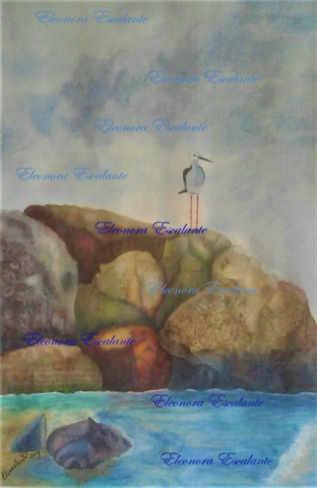 THe Shallows protected