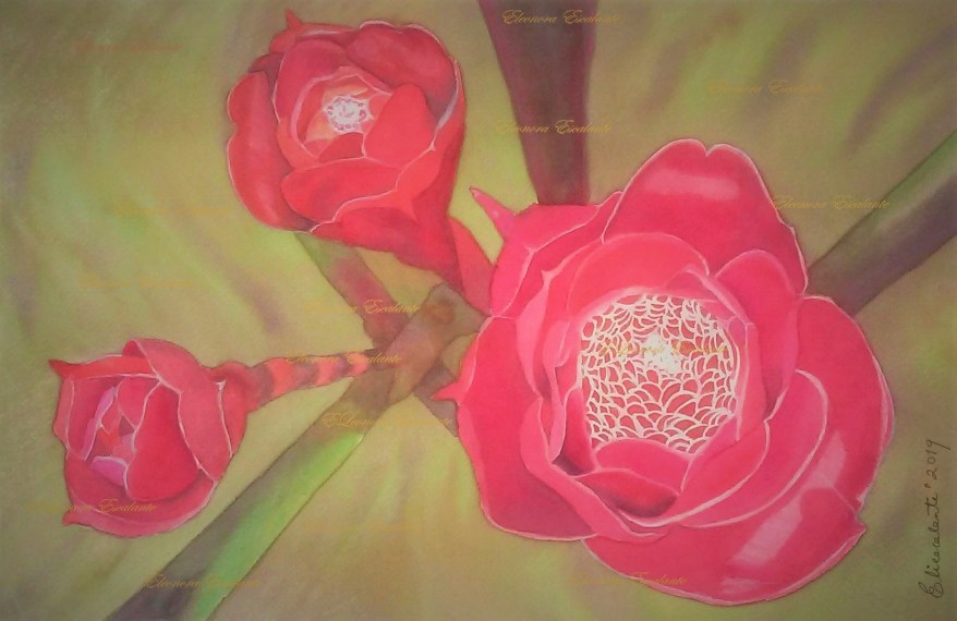 Evolution Horizontal protectedxblog