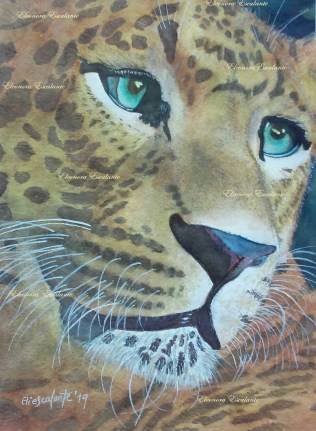 Tao the leopard protectedxblog