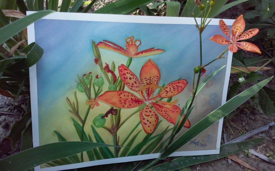 Six Degrees of tiny flowership