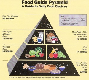 Food guide pyramid USDA