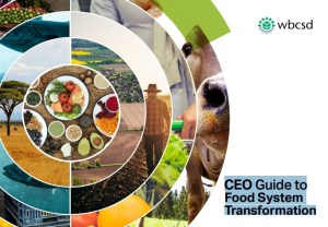 WBSCD CEO call for food system transformation