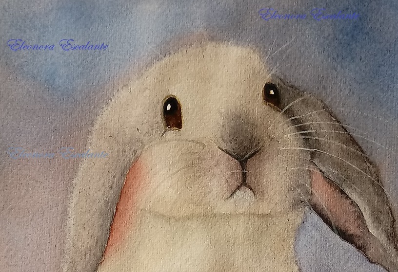 Bunny2 Eleonora Escalante cropped