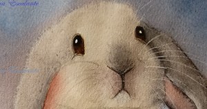 Bunny2 Eleonora Escalante cropped 2¿3