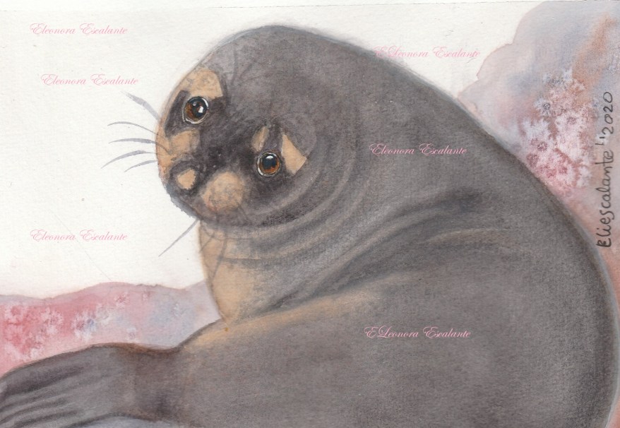 Eleonora EScalante for blog Dont look at me_20200416_0001