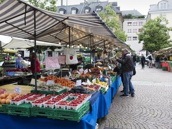 oerlikon zurich weekly markets