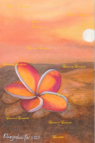 Beach flower_edited x blog