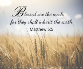 Blessed are the meek matthew-5-5