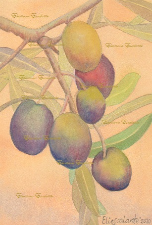 Olives_edited x blog petit size