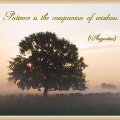 patience-is-the-companion-of-wisdom-2